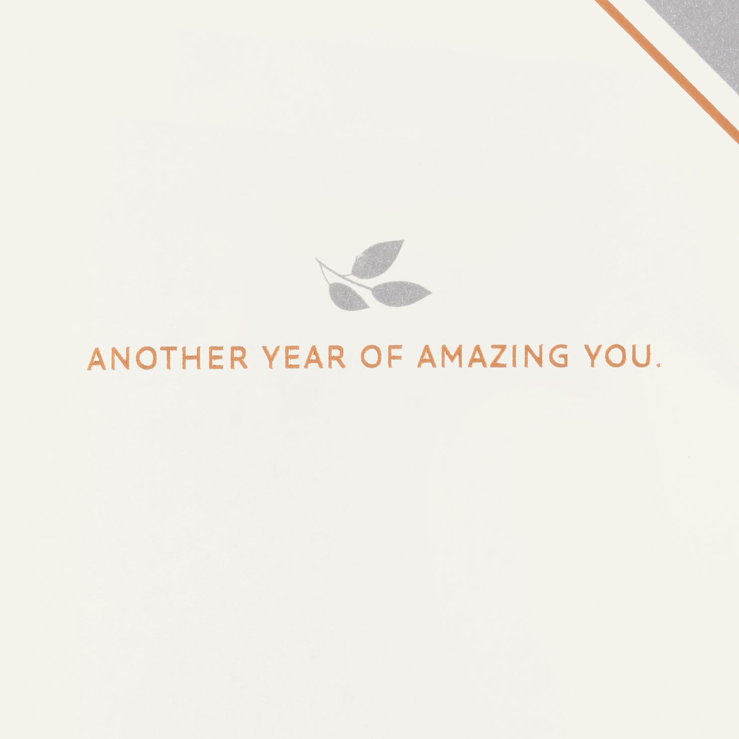 Another Year of Amazing You Birthday Card - Greeting Cards | Hallmark
