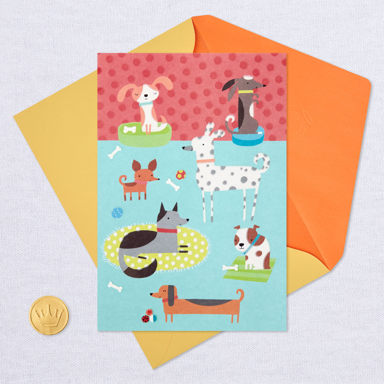 Dog Party Blank Card for only USD 3.99 | Hallmark