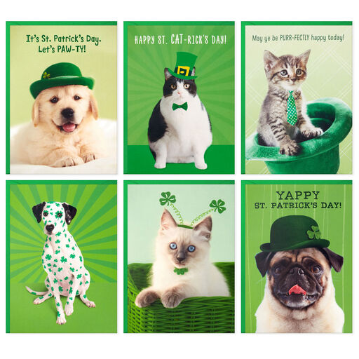 Festive Pets Assorted Blank St. Patrick's Day Note Cards, Pack of 36, 