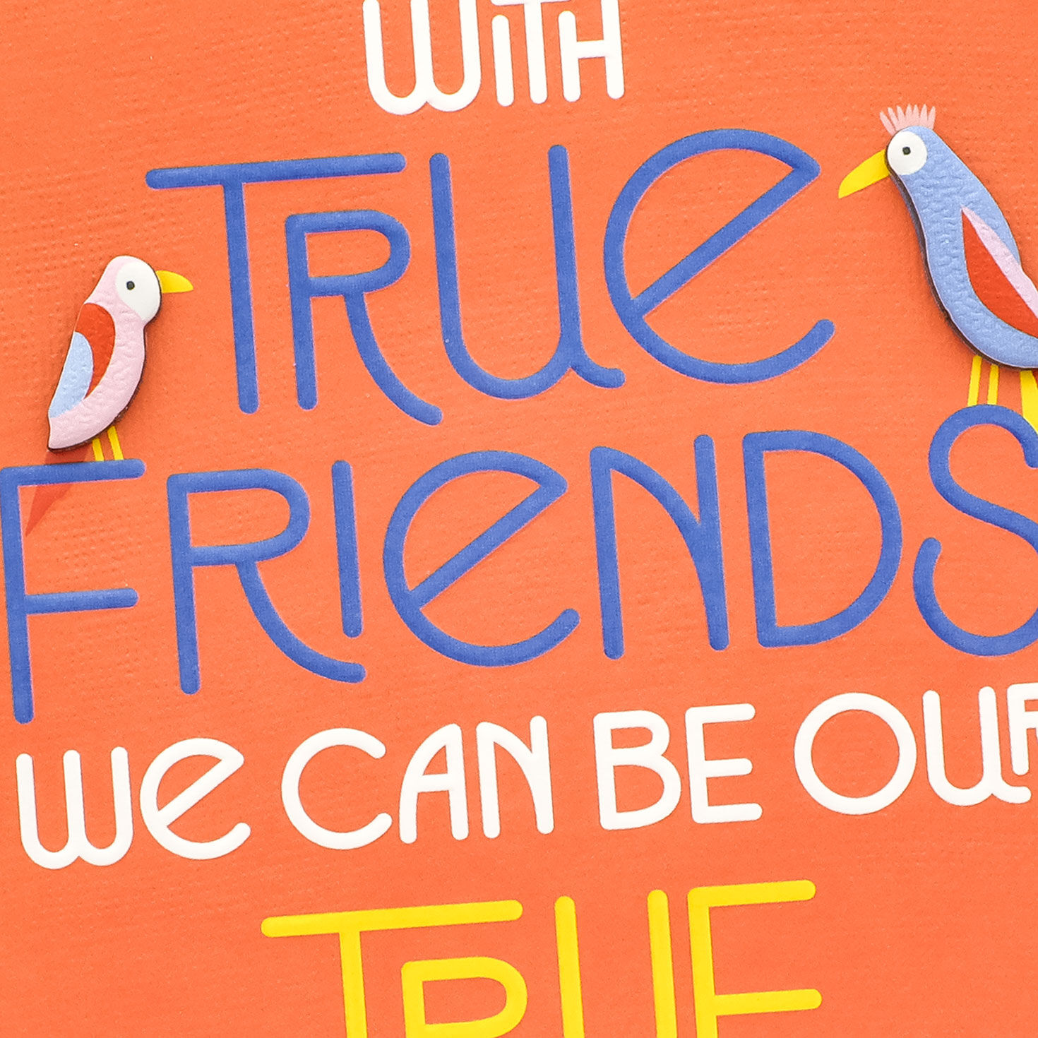 Colorful Birds on Orange Friendship Card Card Front Detail image number 5