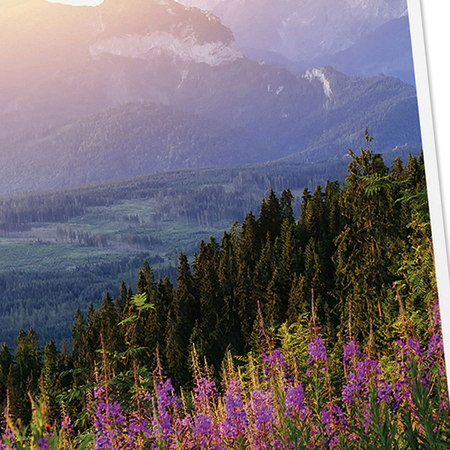 Scenic DaySpring Care and Concern Cards Assortment Cover Detail image number 5