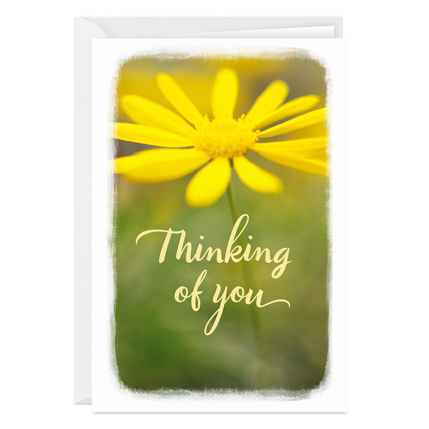 Have a Good Day Thinking of You Photo Card, , large image number 1