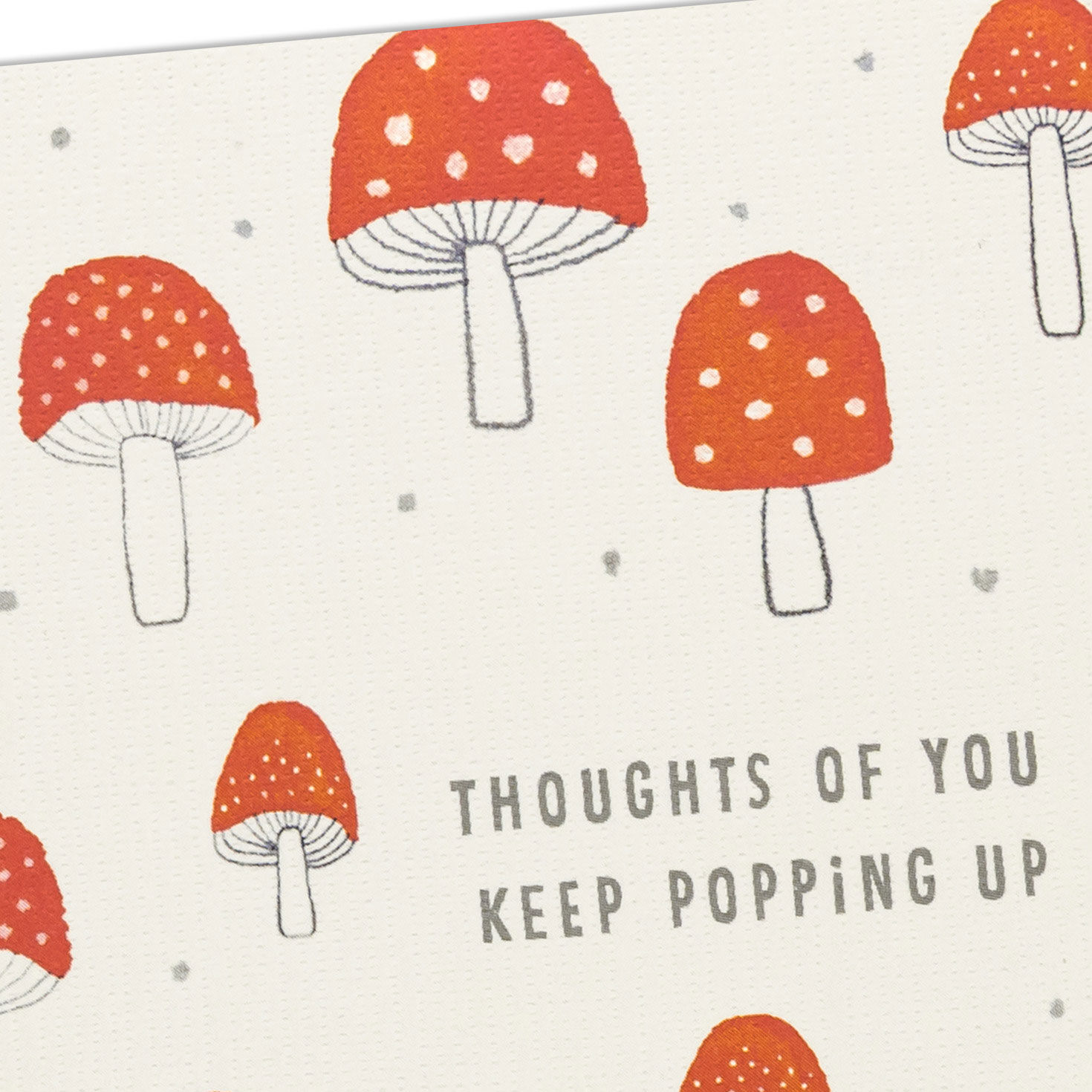 Red Mushrooms on Ivory Blank Note Cards Pack Cover Detail image number 4