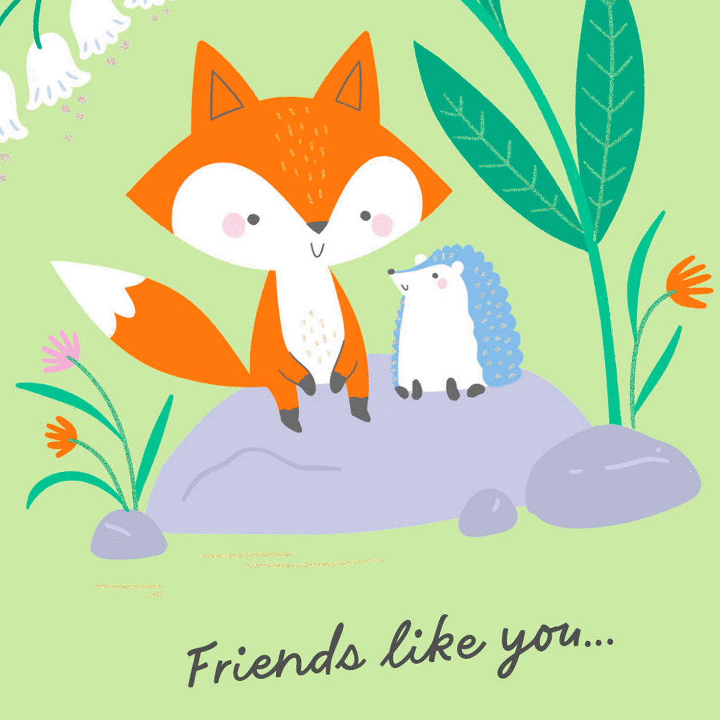 Fox and Hedgehog You're a Blessing Friendship Card Card Front Detail image number 4