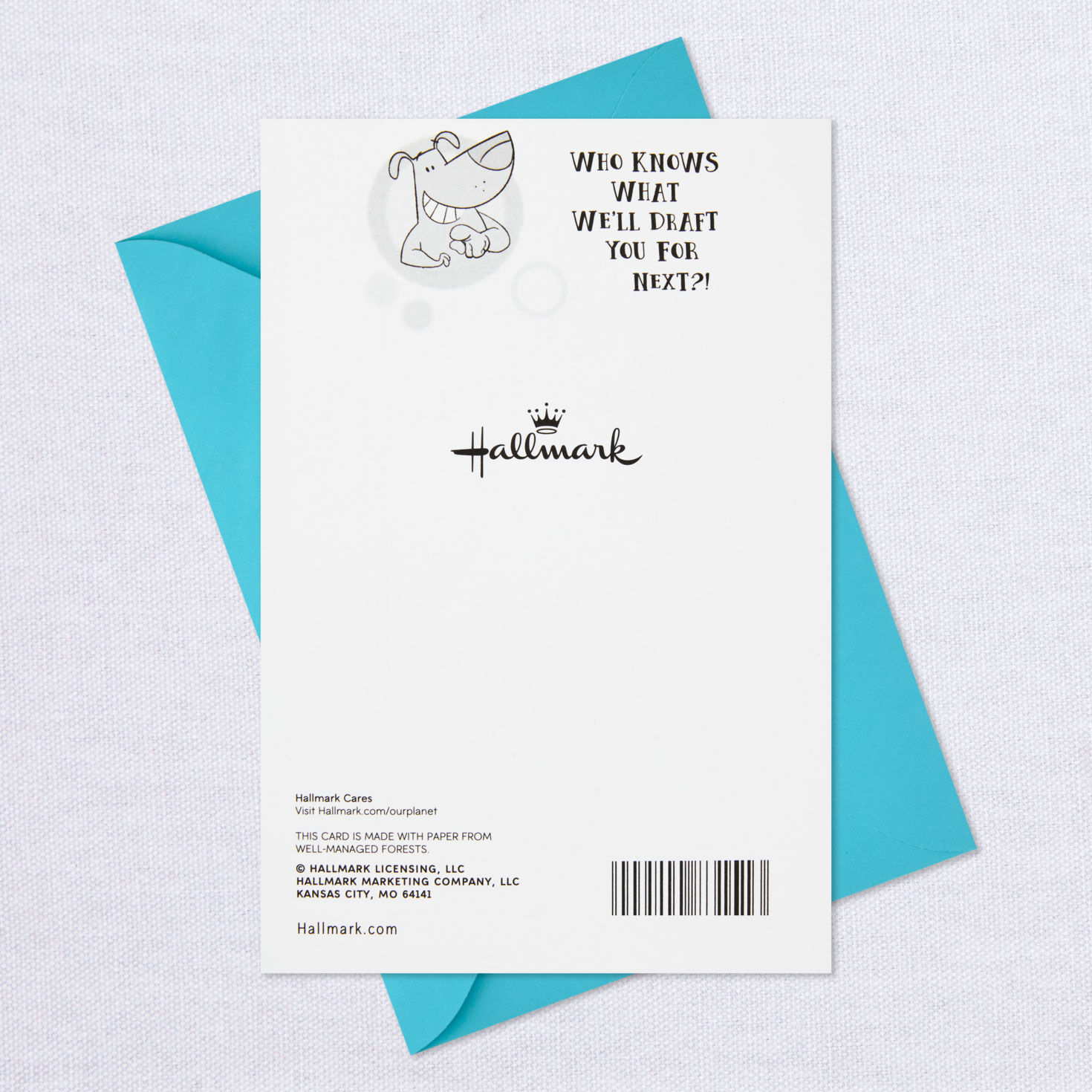 Cartoon Dog Funny Birthday Card for Son-in-Law  image number 7