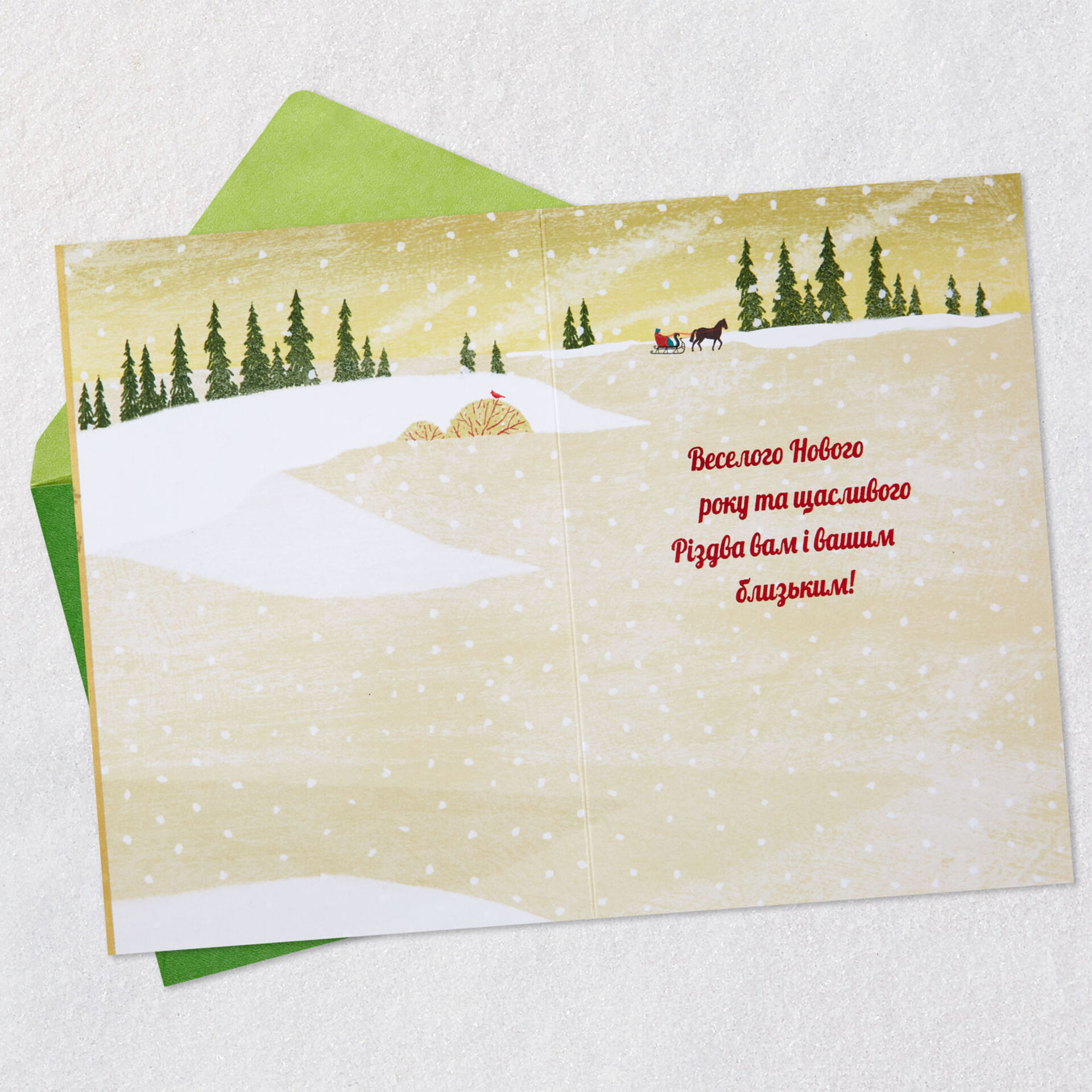 Beautiful and Meaningful Wishes UkrainianLanguage Christmas Card