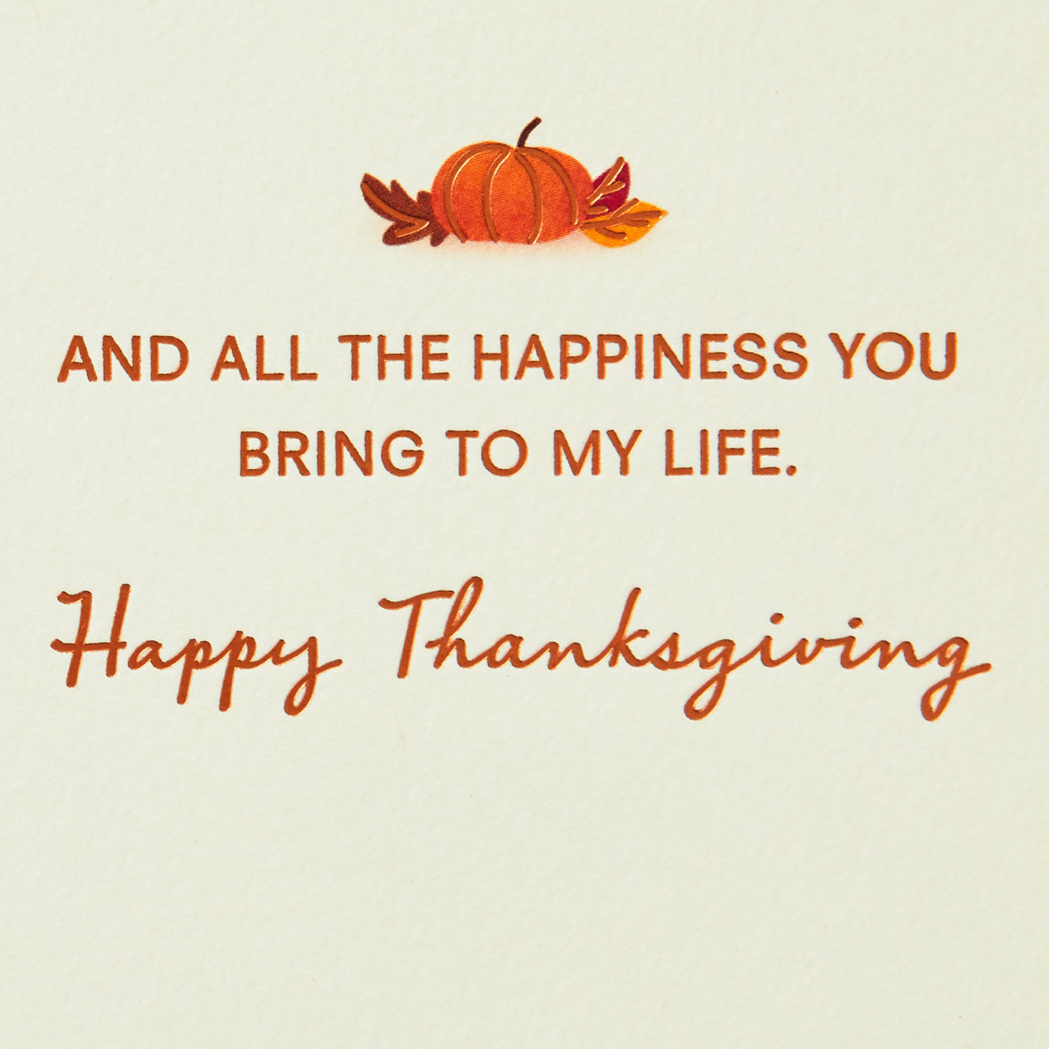 Peanuts Snoopy Pie on Doghouse Thanksgiving Card sentiment image number 2