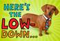 Wiener Dog Musical Father's Day Card, , large image number 1