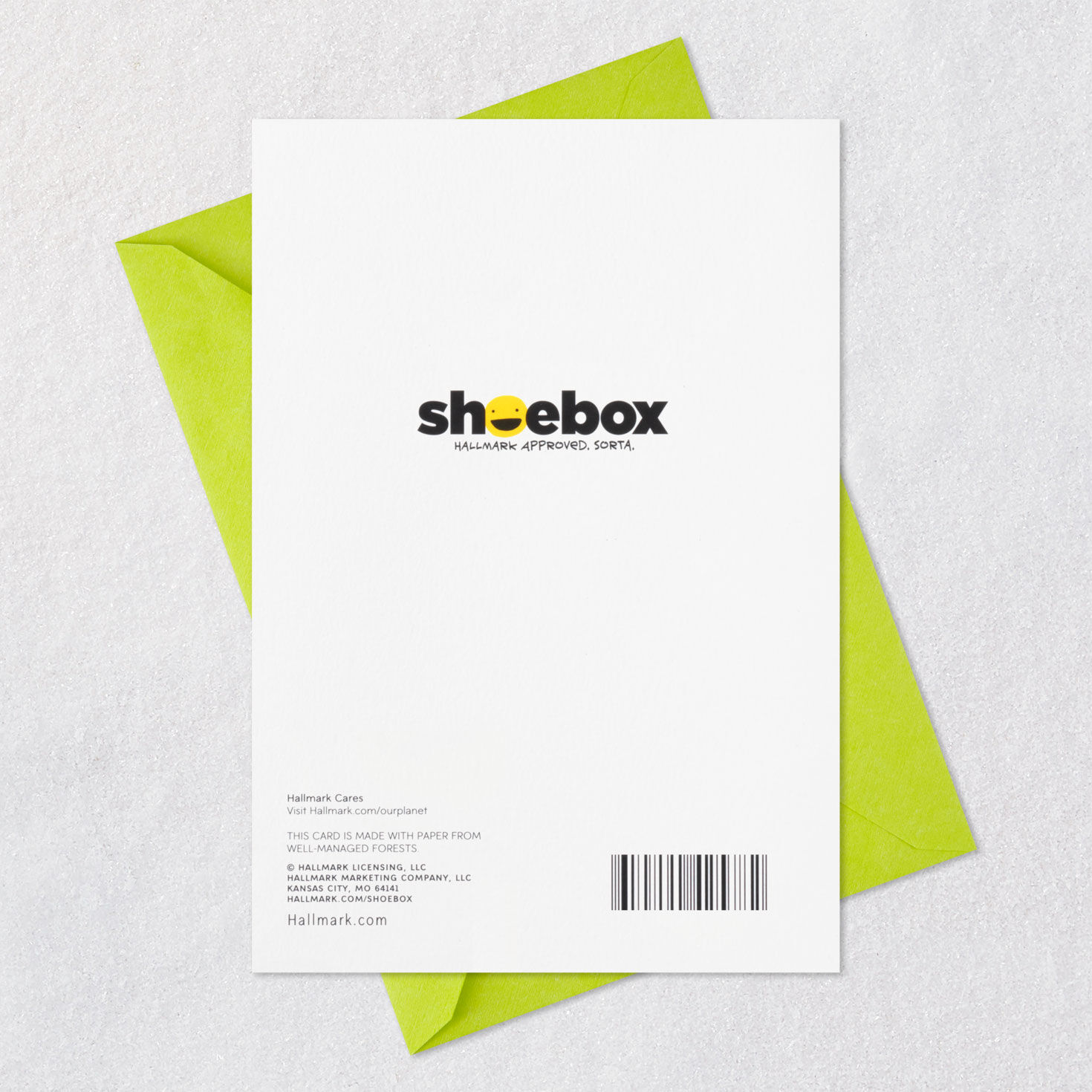 Dog Waiting for Cake Funny Birthday Card Card Back with Envelope image number 7