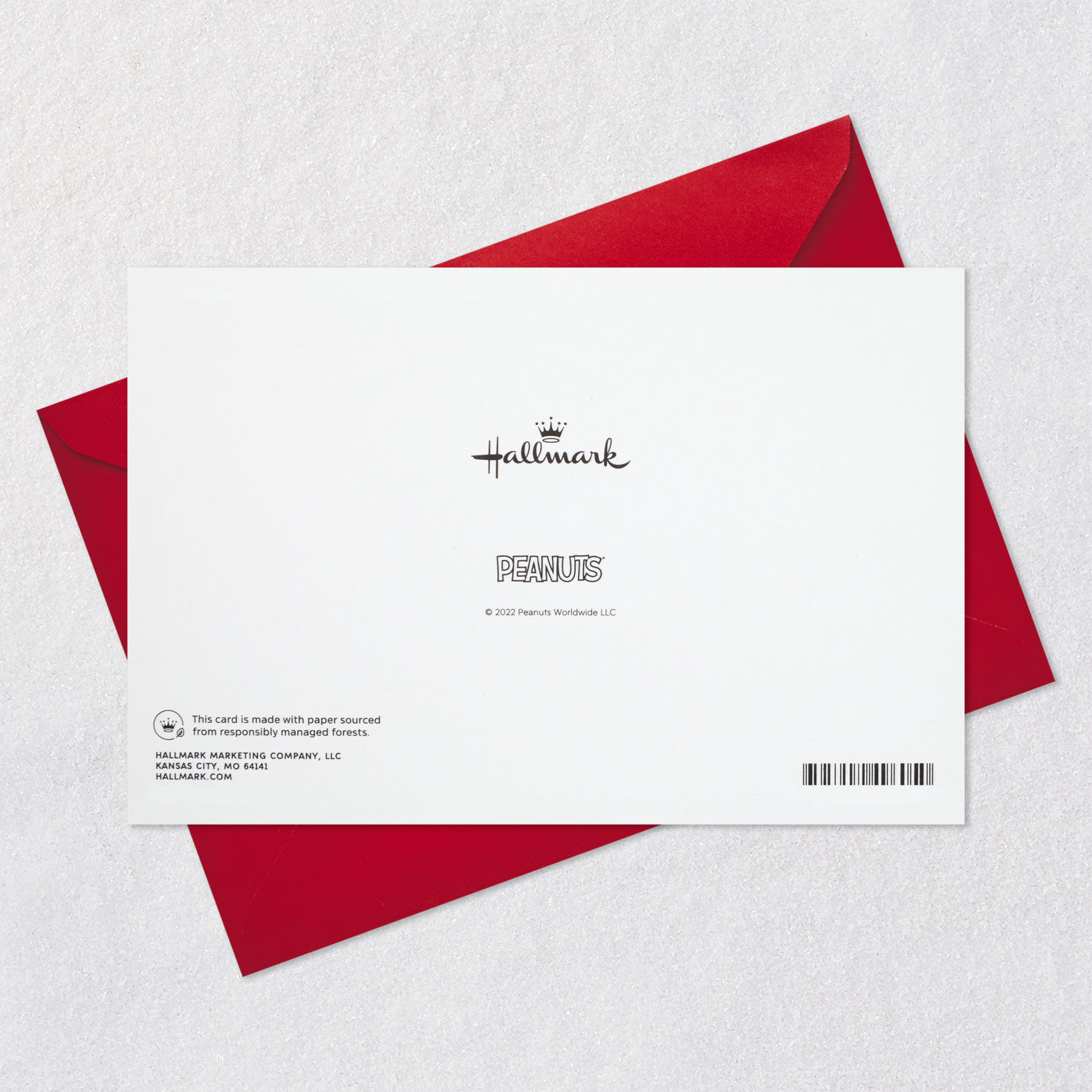 Peanuts&reg; Snoopy and Woodstock Warm Wishes Christmas Card, , large image number 7