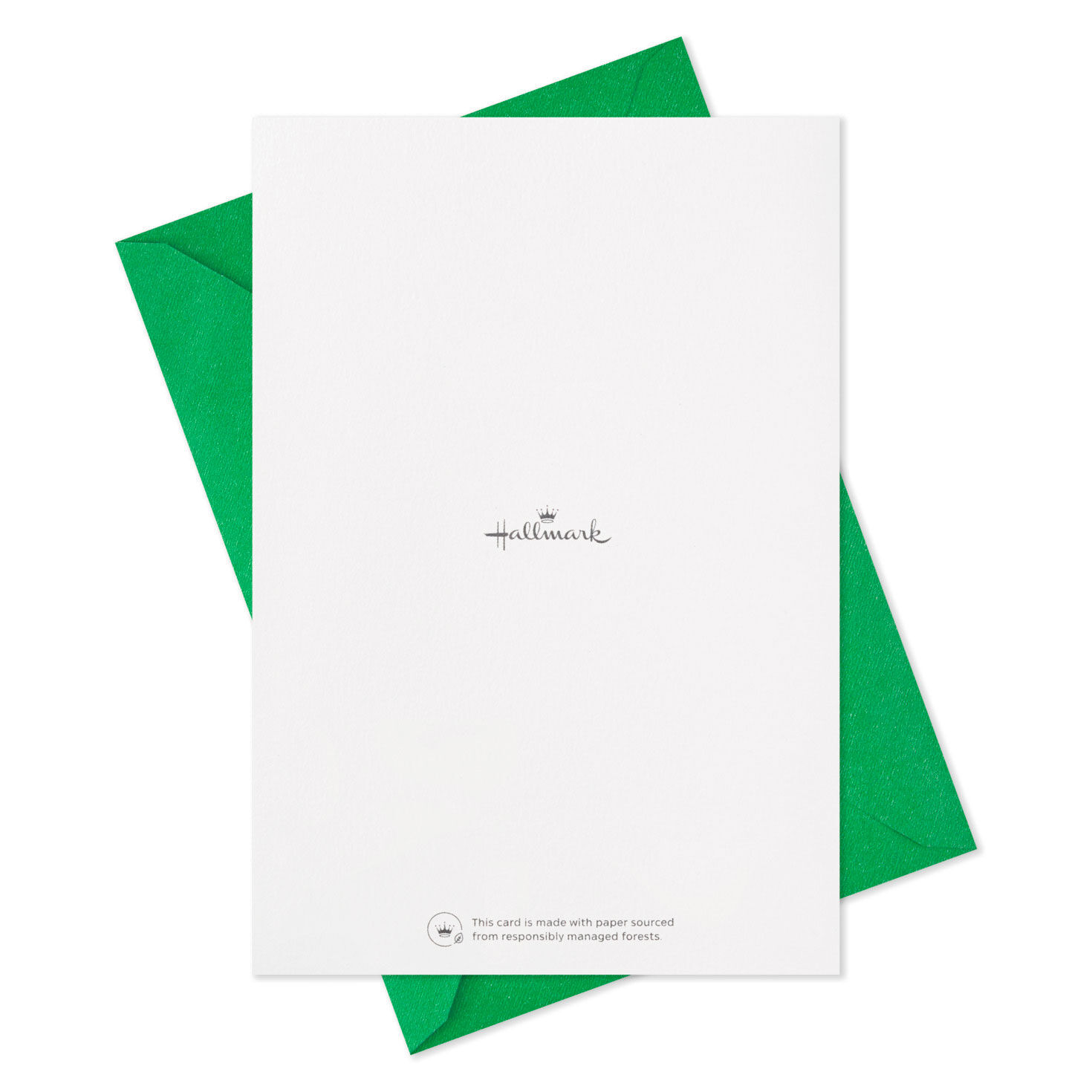 Green and Gold Boxed St. Patrick's Day Cards Assortment, Pack of 16, , large image number 6