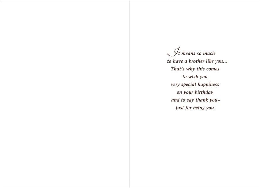 Special Brother Birthday Card