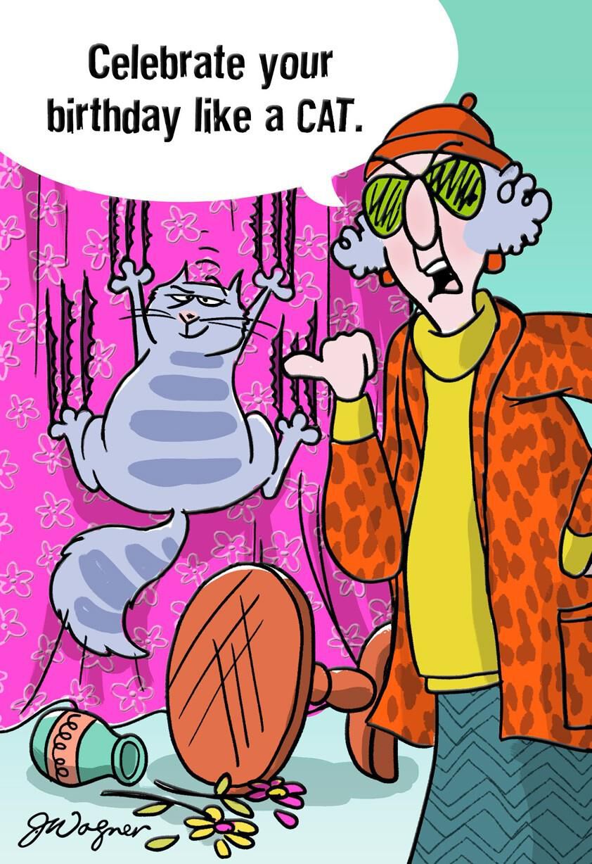 Like a Cat Funny Birthday Card
