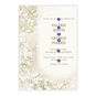 Baby's Breath Border Personalized Wedding Invitation Card Front indicating personalization image number 5