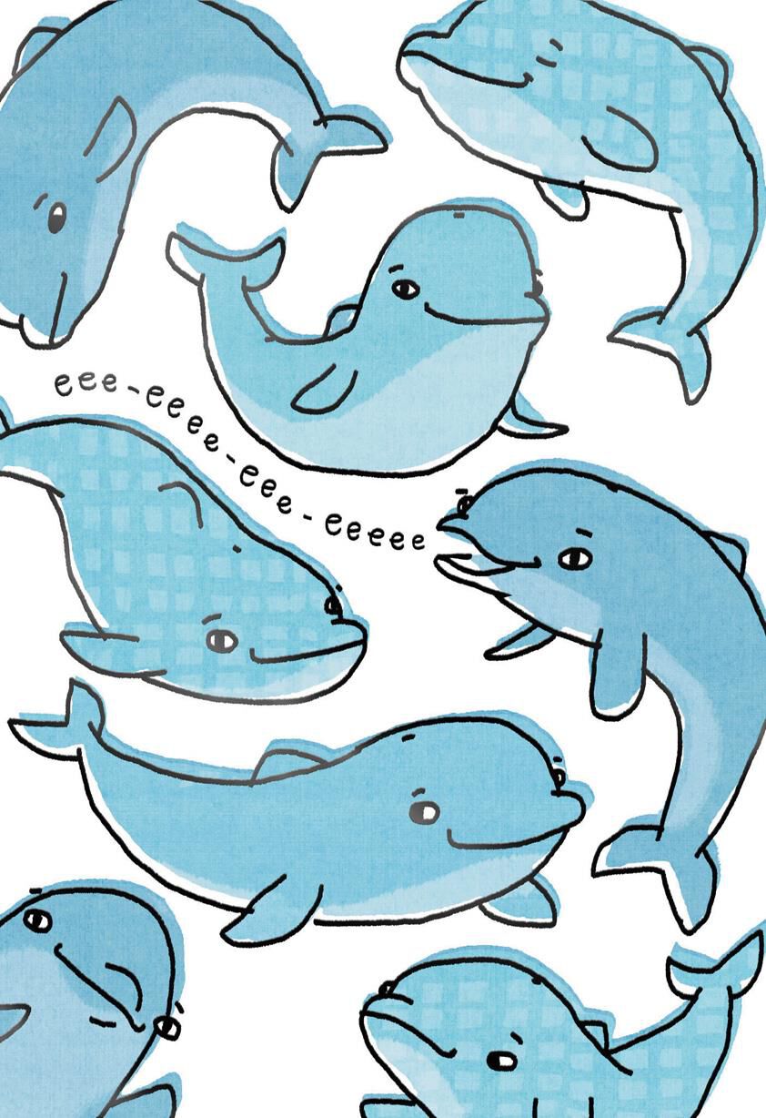 All-Porpoise Funny Just Because Card