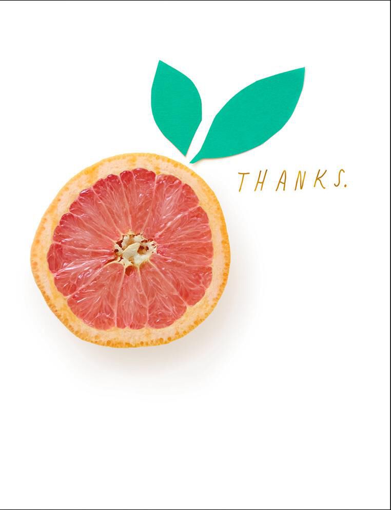Eternally Grapefruit Thank You Card