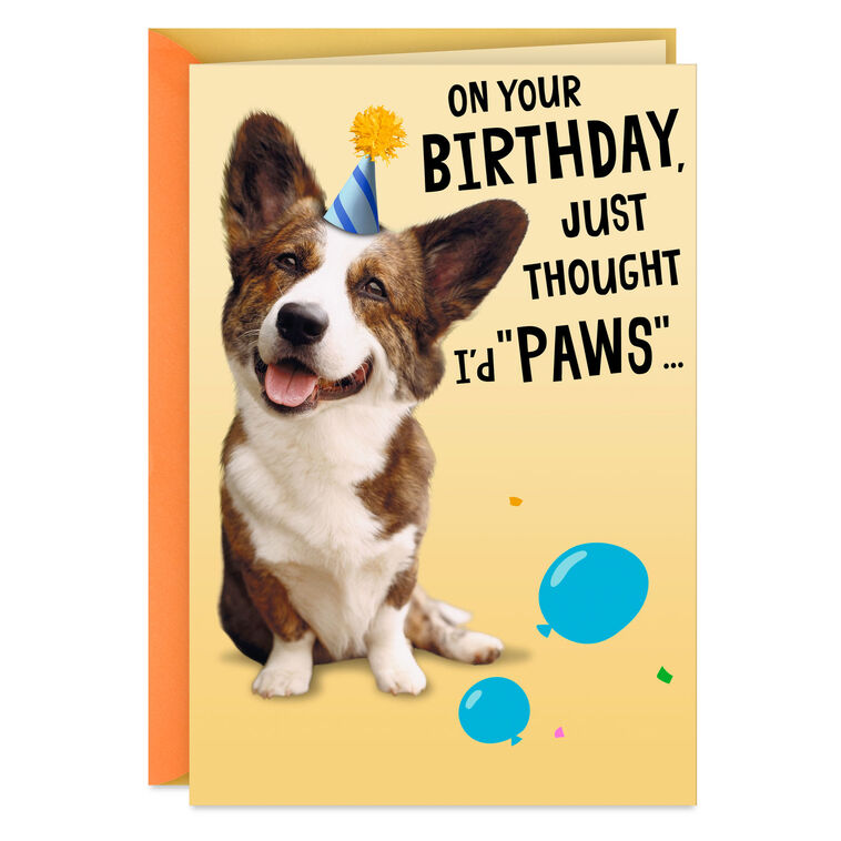 Wishing You a Treat-Filled Celebration Funny Birthday Card