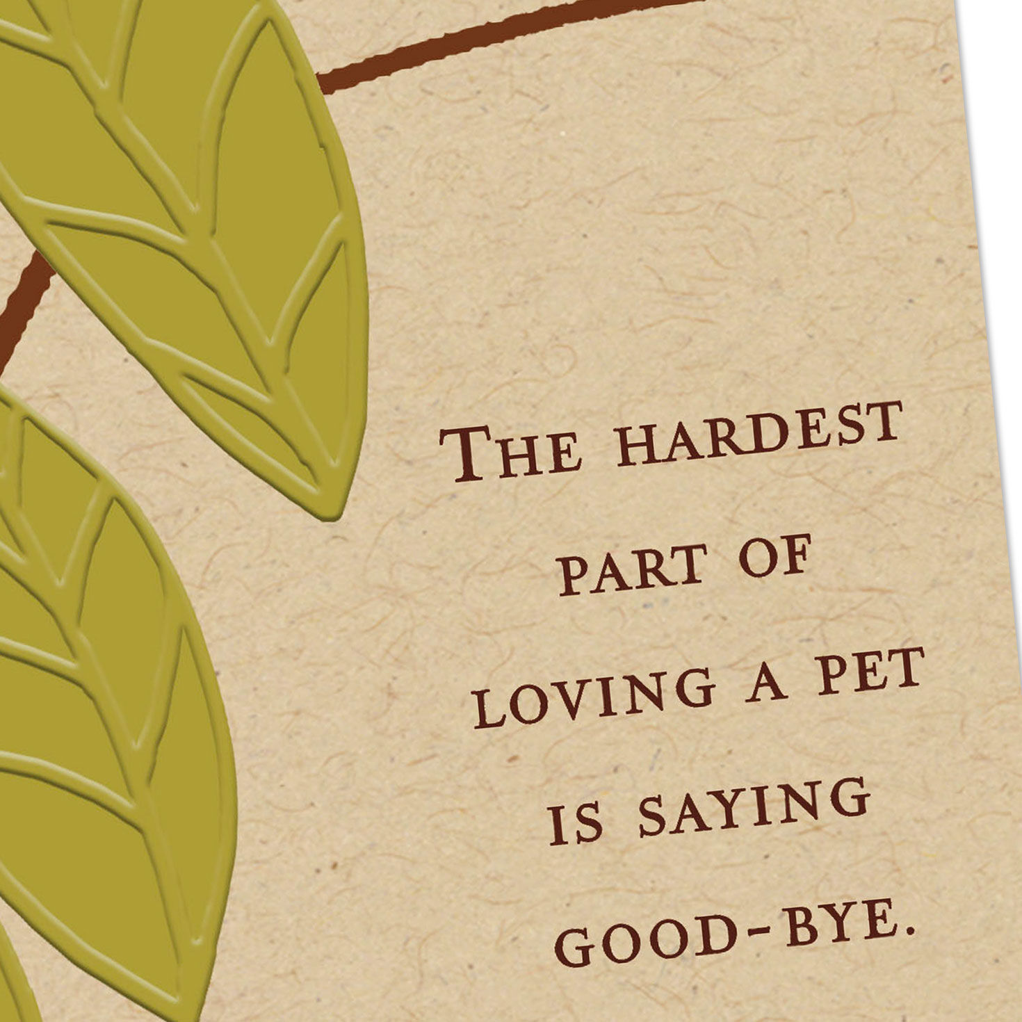 Green Leaves Pet Sympathy Card  image number 4