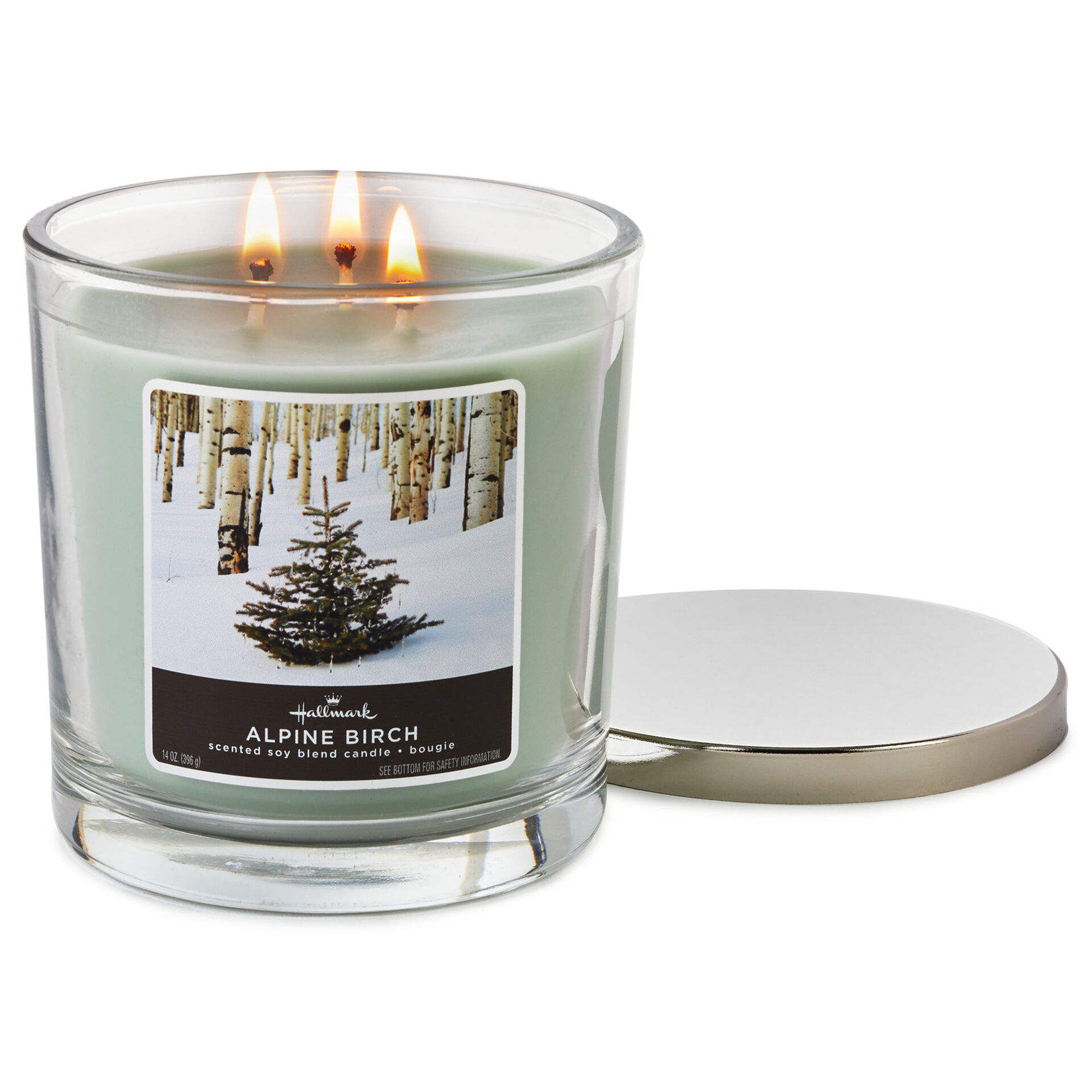 Alpine Birch 3-Wick Jar Candle, 14 oz. - Candles - Hallmark