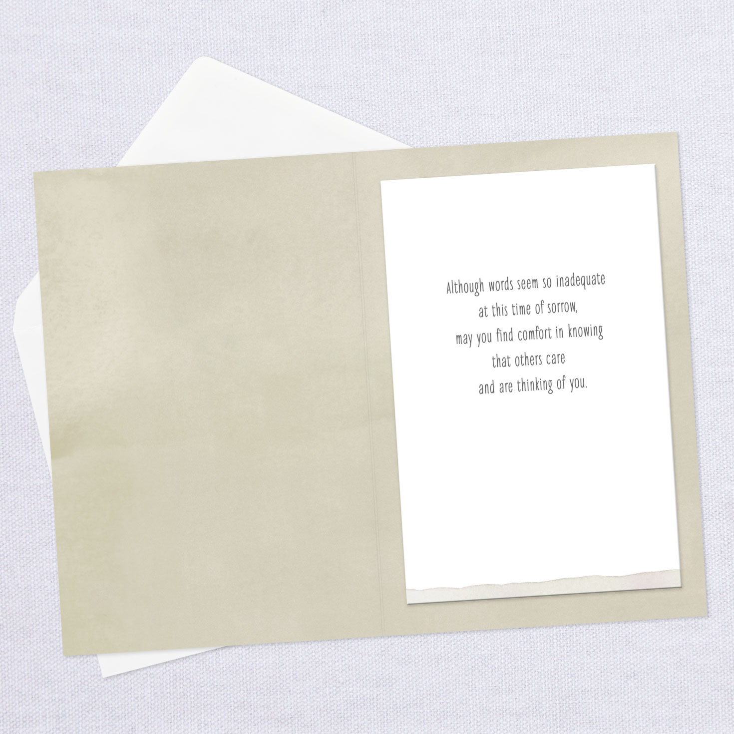 Single Feather Sympathy Card for Loss of Grandson Greeting Cards