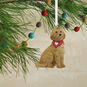 Goldendoodle Hallmark Ornament, , large image number 2