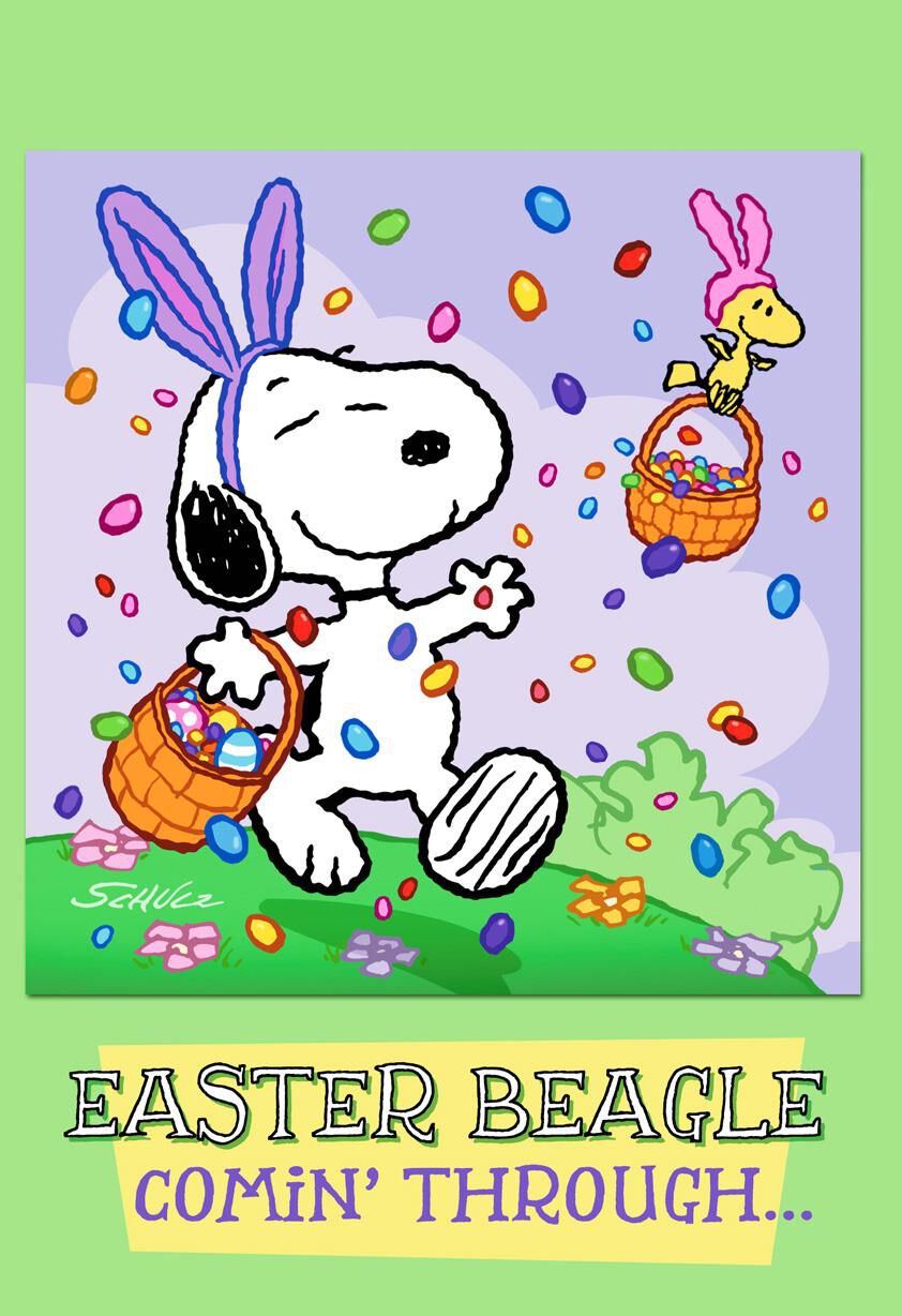 Peanuts® Snoopy and Woodstock 3-D Easter Card