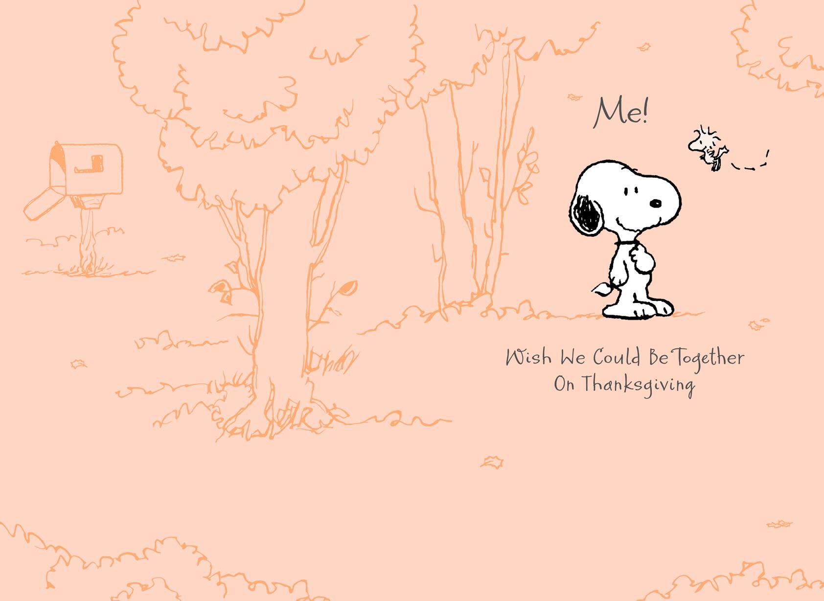 Peanuts® Snoopy™ Missing You Thanksgiving Card