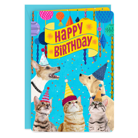 16" Party Cats and Dogs Jumbo Birthday Card From All, , large image number 1
