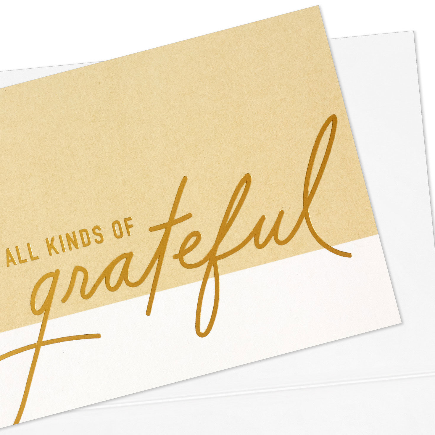 All Kinds of Grateful Blank Thank You Notes, Pack of 10 for only USD 5.00 | Hallmark