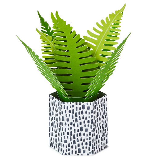 Fern Rooting for You 3D Pop-Up Thinking of You Card, 