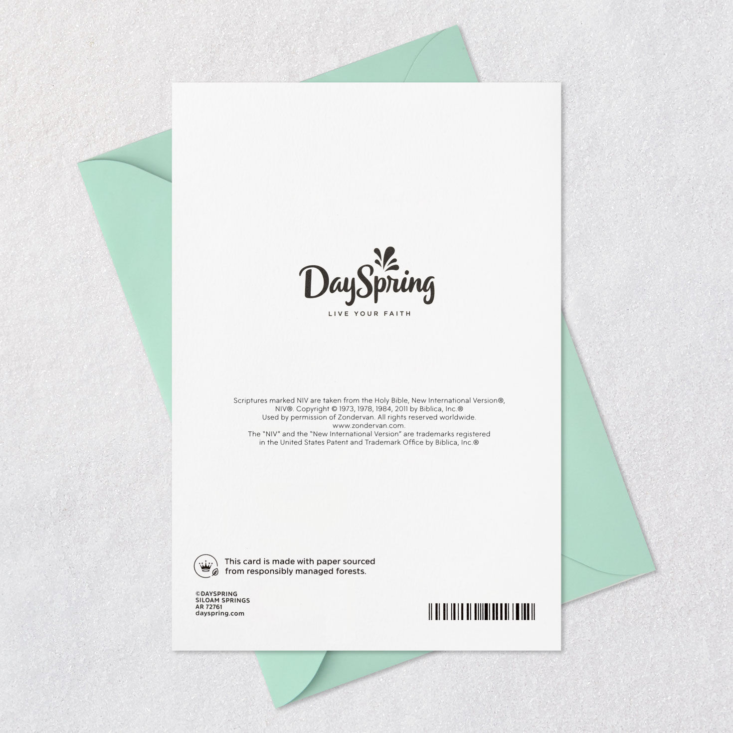 Tropical Parrots on Branch Religious Anniversary Card  image number 8