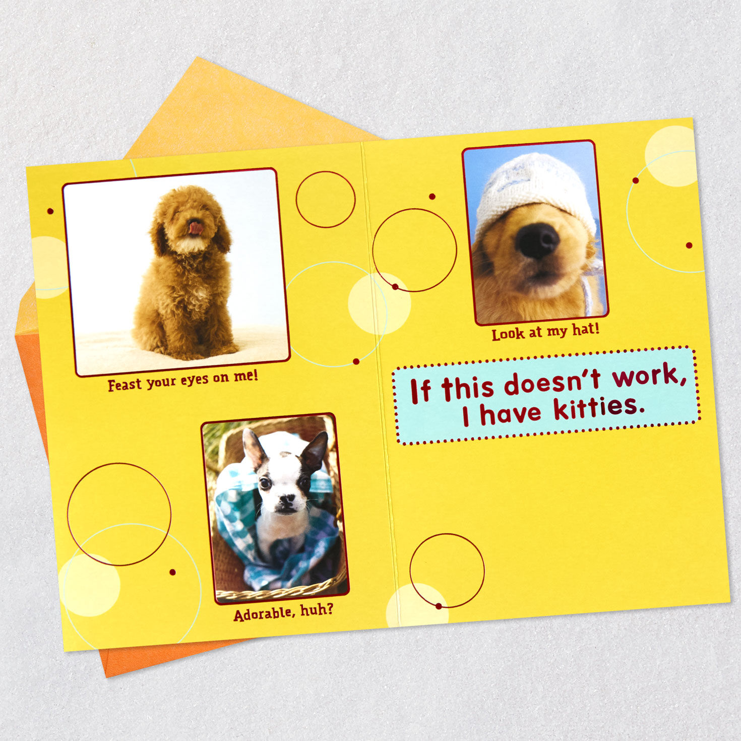 Cute Dog Photos Birthday Card Open card with envelope image number 5