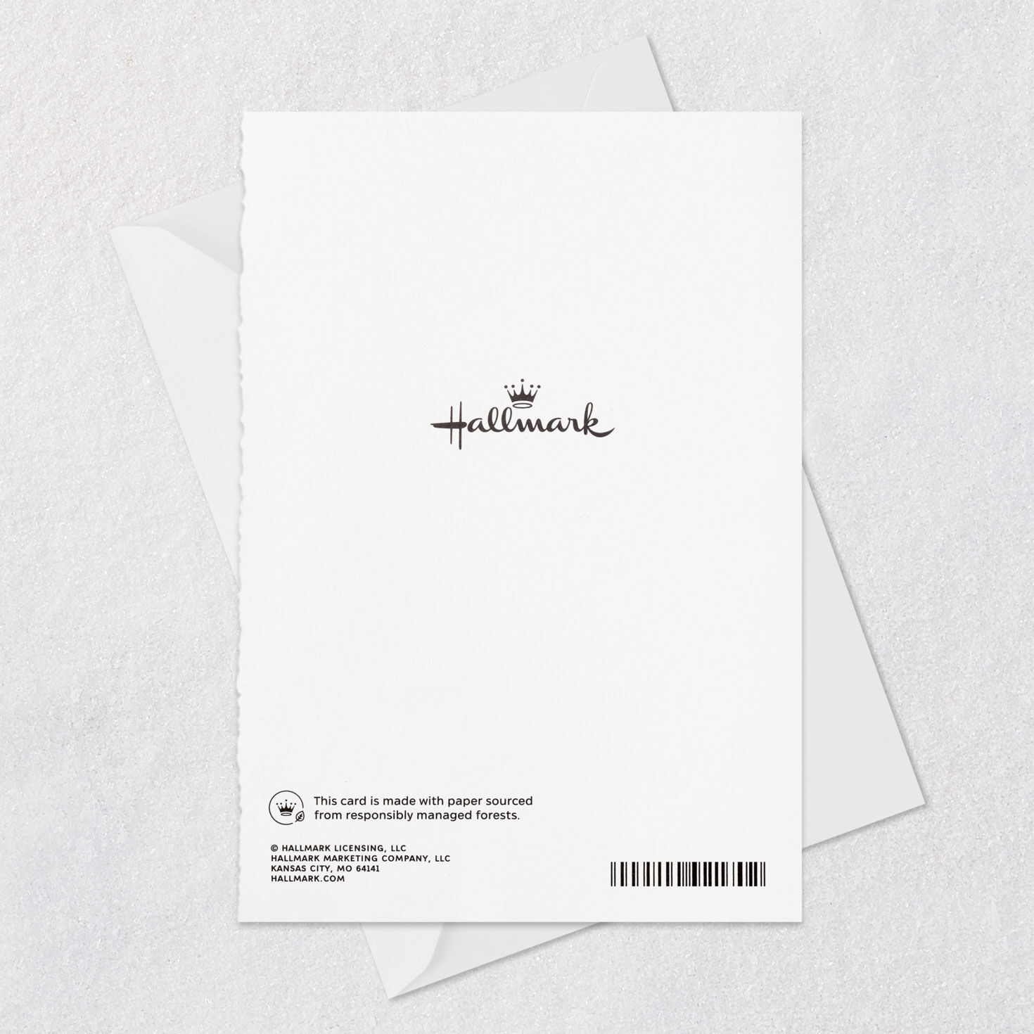 Bird on Branch Husband Sympathy Card Card Back with Envelope image number 8