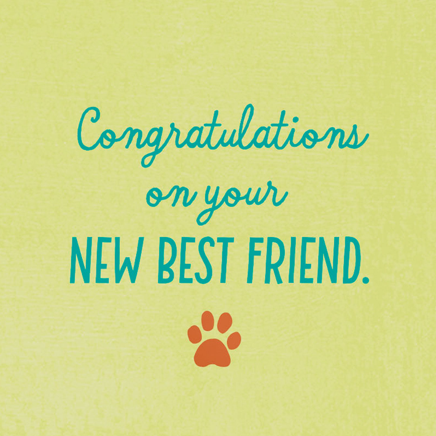 Playful Dogs New Pet Congrats Card Sentiment image number 2
