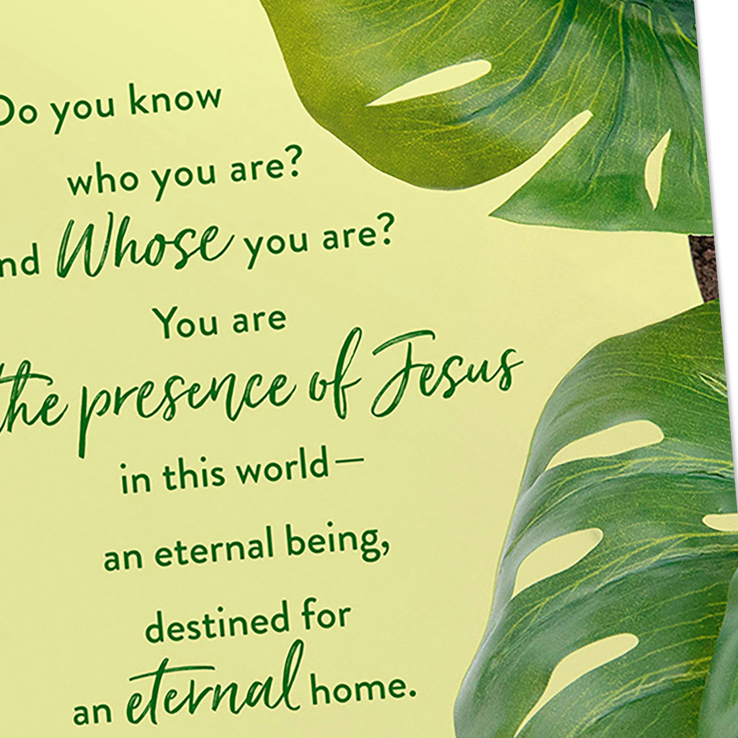 Max Lucado Art DaySpring Birthday Cards Assortment Cover Detail image number 5