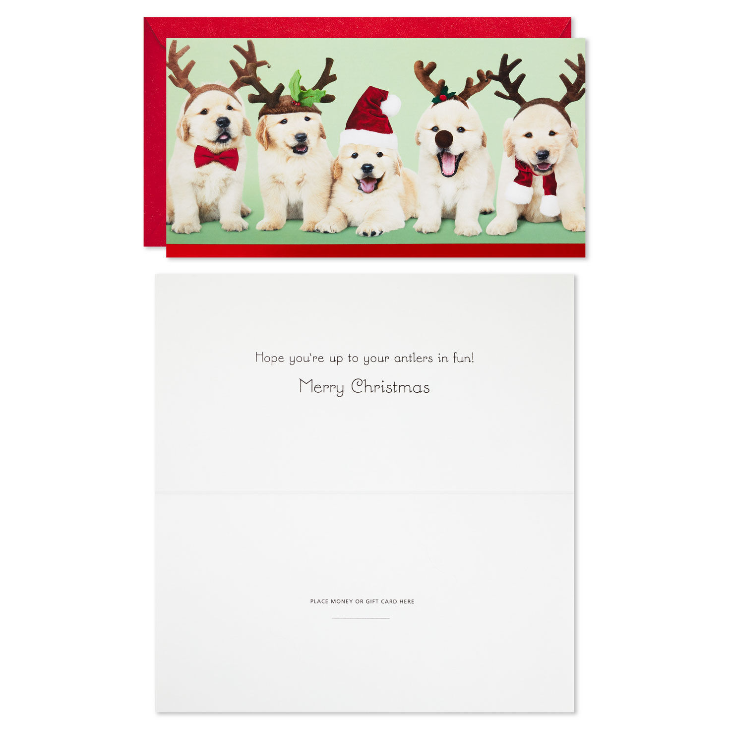 Reindeer Dogs Money-Holder Christmas Card Pack Card Front with Sentiment image number 2