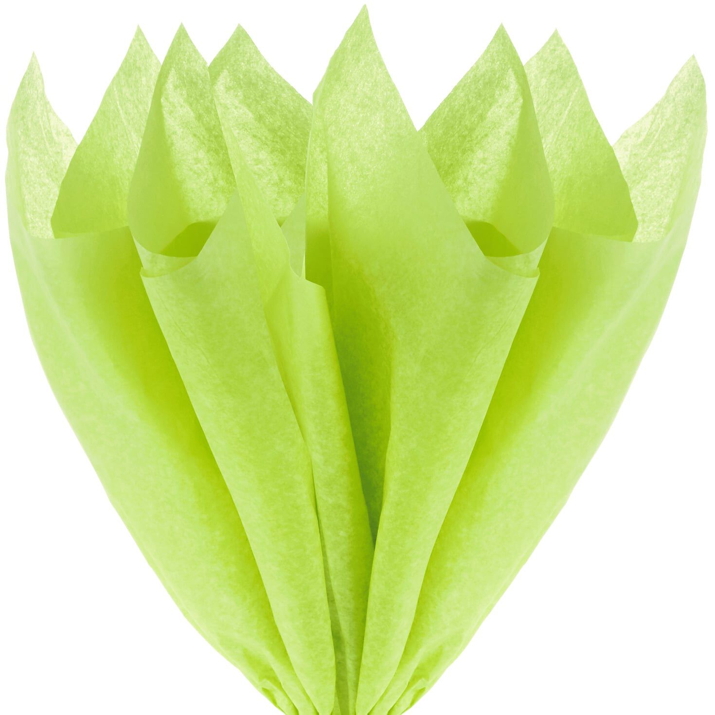 Citrus Green Tissue Paper, 8 sheets for only USD 1.99 | Hallmark