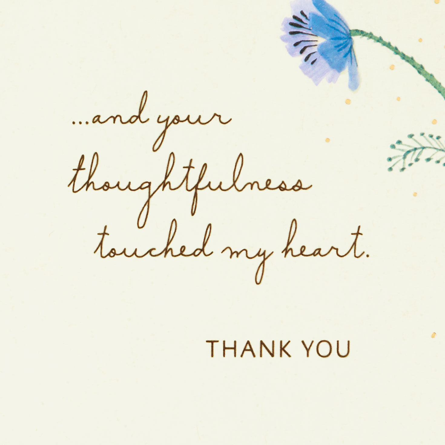 Wildflowers and Butterfly Thank-You Card Sentiment image number 2