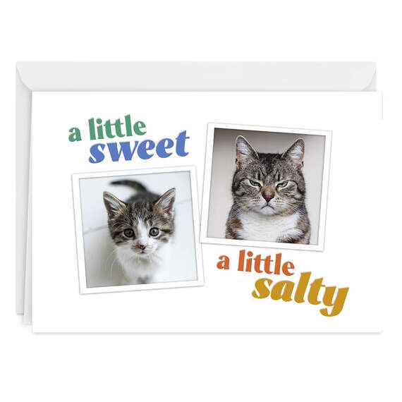 Sweet and Salty Funny Folded Photo Card, , large image number 1