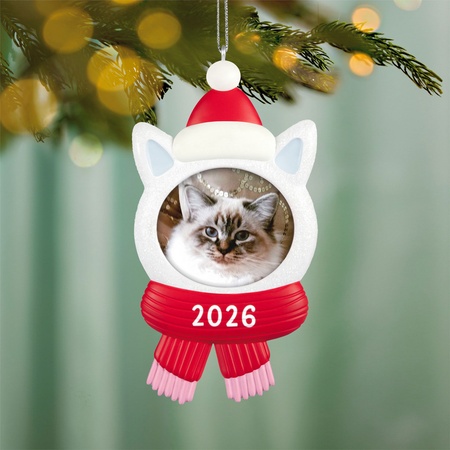 Cat in Hat Scarf Photo Frame Keepsake Ornament hanging on tree image number 2
