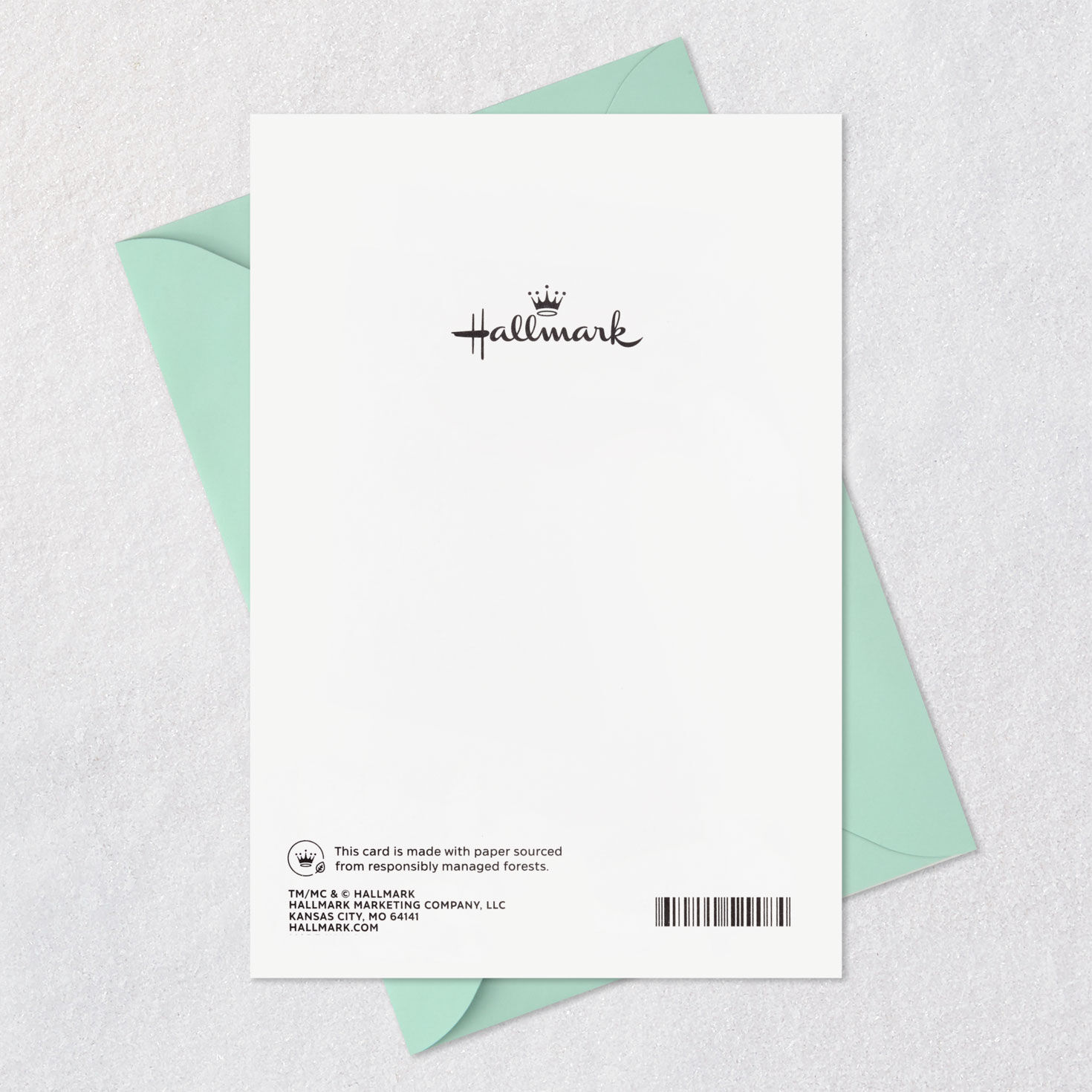 Purple Allium Flower Blank Card  image number 6