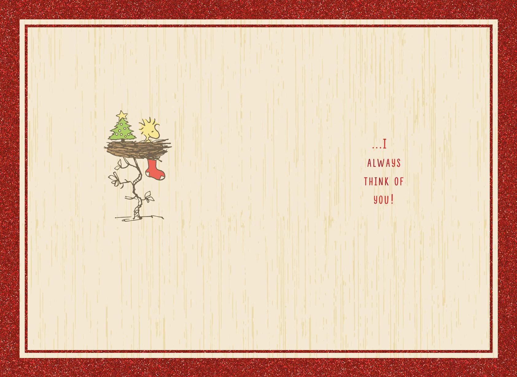 Peanuts® Very Special Christmas Card for Friend