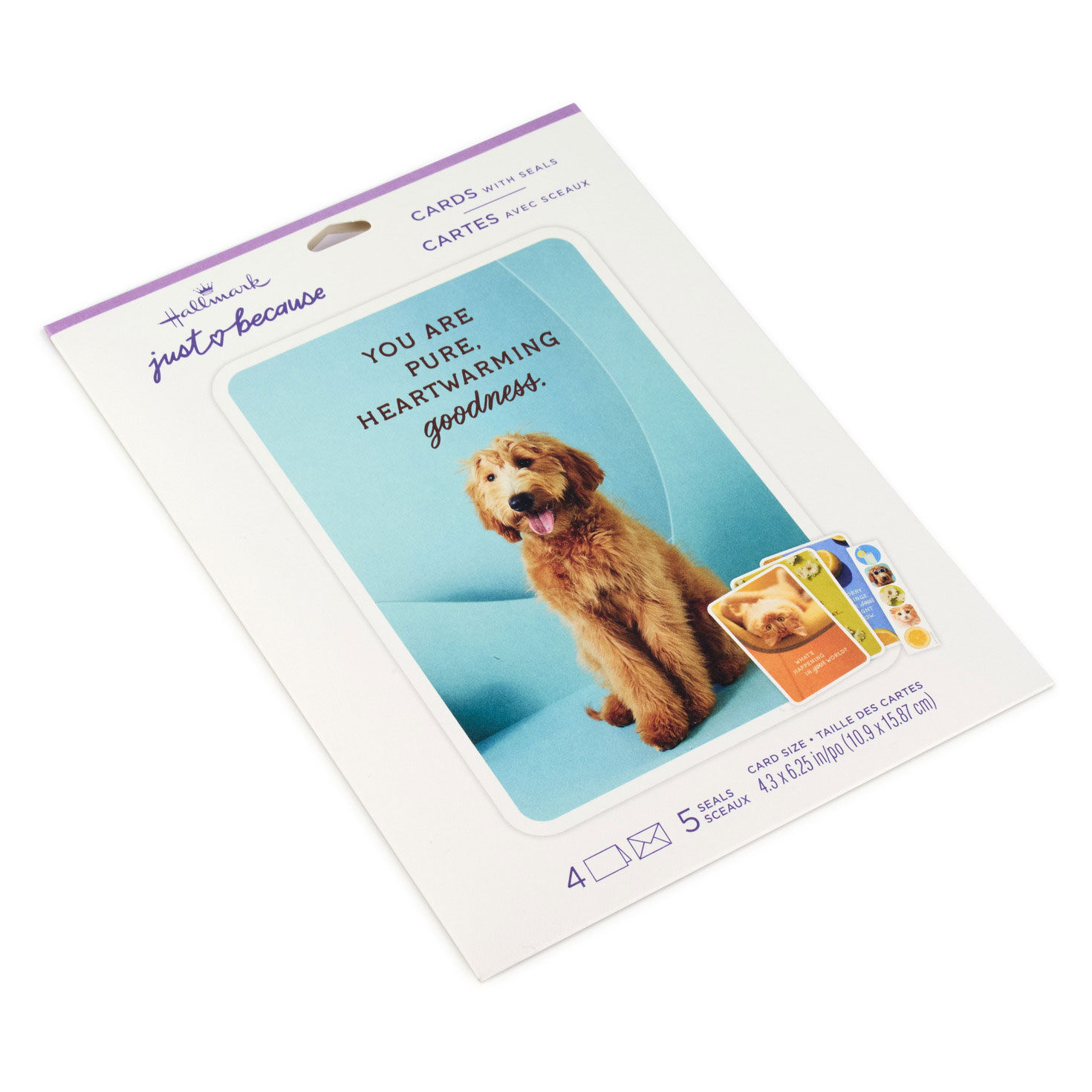 Dog and Cat Just Because Cards Pack With Stickers package image number 2