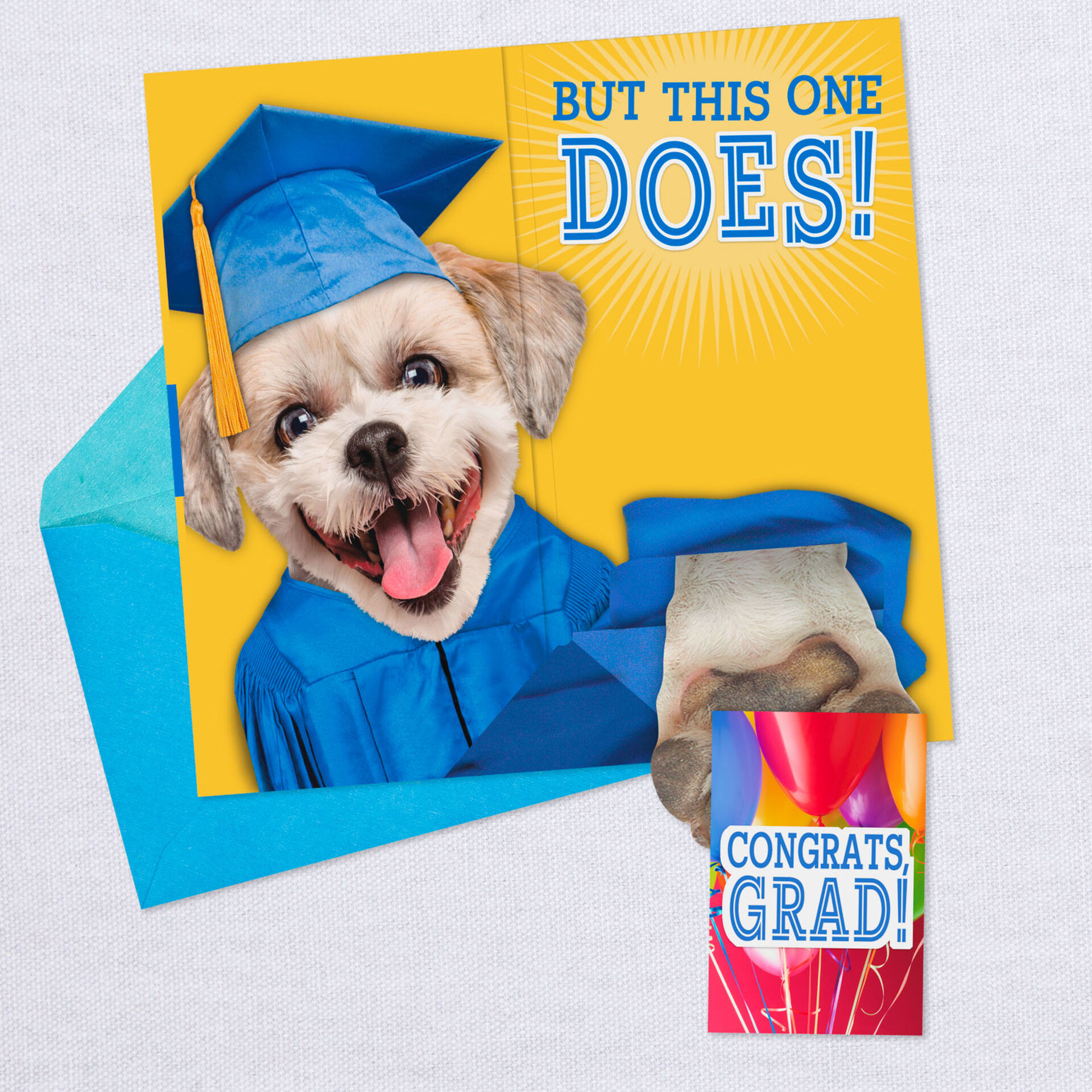 dog in cap and gown musical pop up money holder graduation card