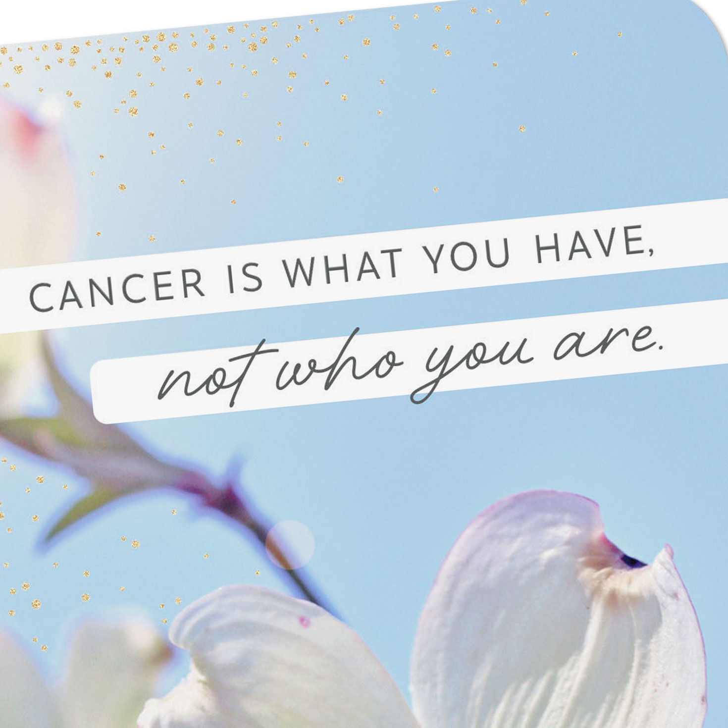 Dogwood Flowers Cancer Support Encouragement Card Card Front Detail image number 4