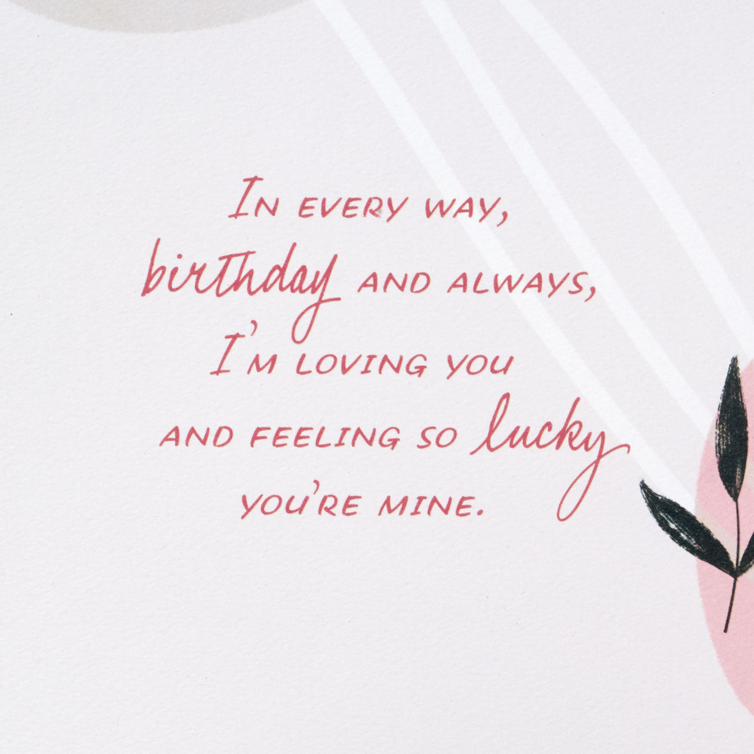 Loving You in Every Way Birthday Card for Wife, , large image number 3