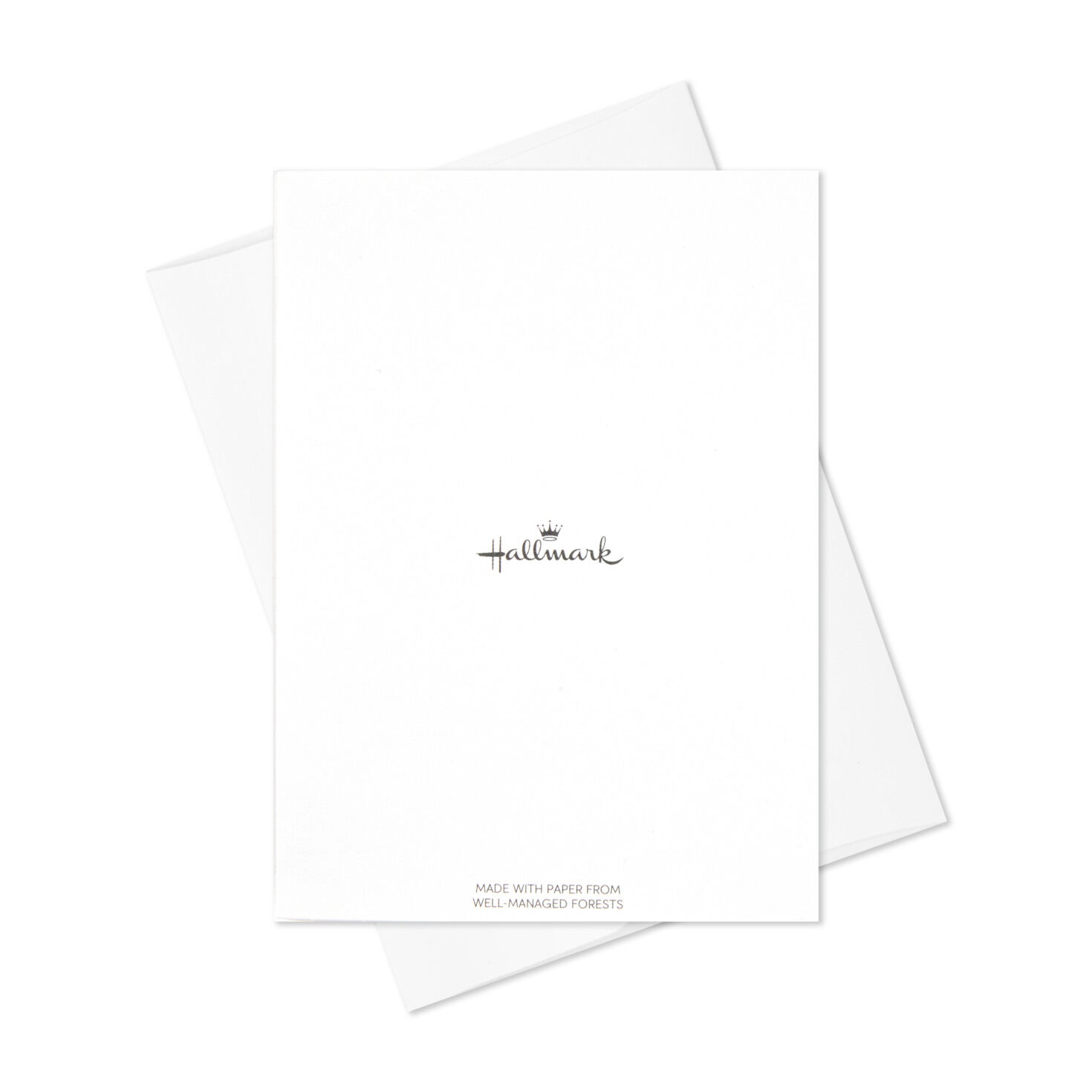 Pastel Fun Assorted Blank Note Cards, Pack of 20, , large image number 6