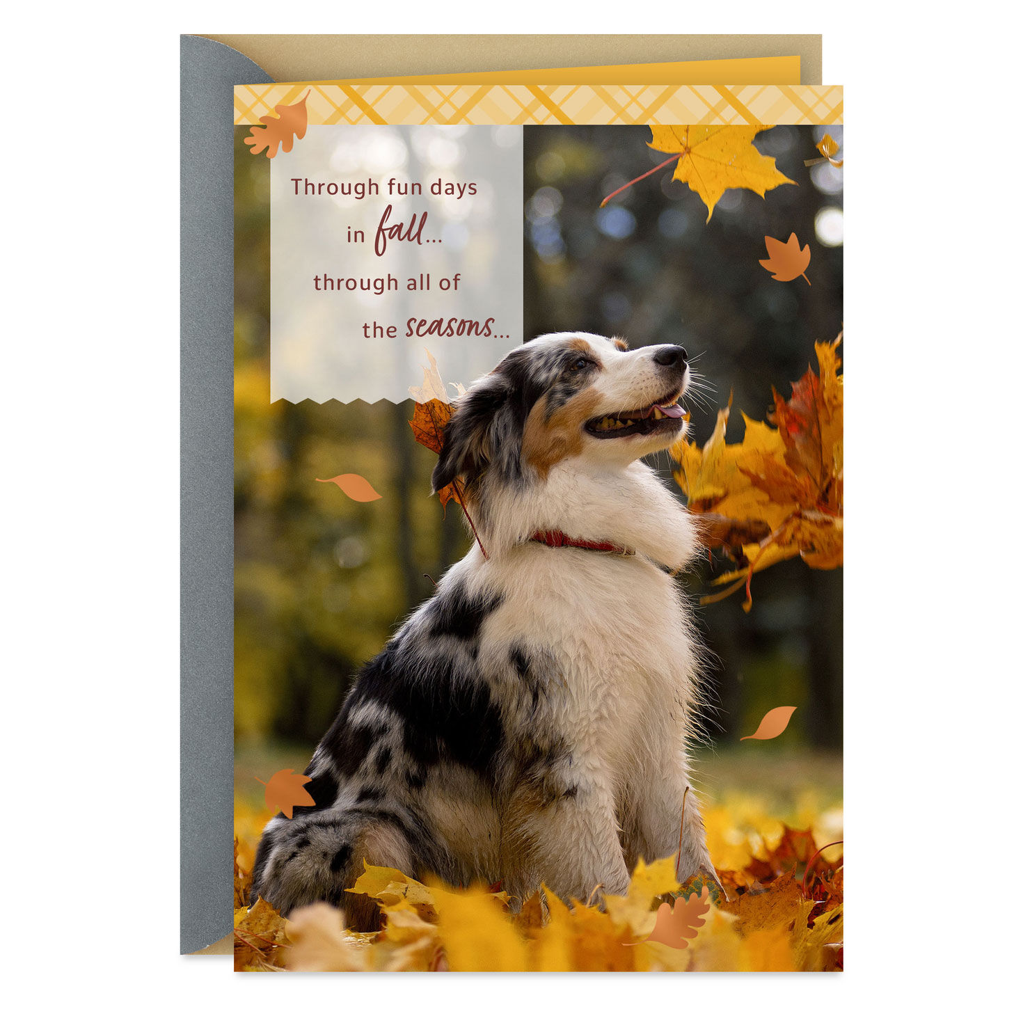 Thankful Through All Seasons Thanksgiving Card