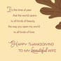 I Love You Thanksgiving Card for Wife, , large image number 2