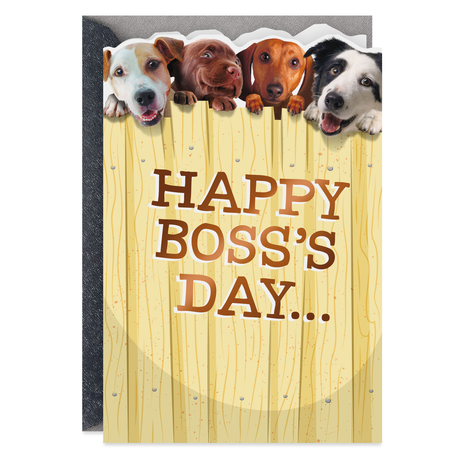 doggone happy funny pop